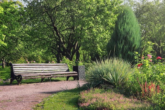 Zdjęcie stara drewniana ławka w letnim ogrodzie. piękny park w rozkwicie