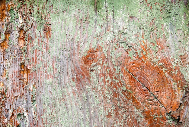 Stara drewniana tekstura Zadrapania w tle Vintage szorstka wyblakła powierzchnia