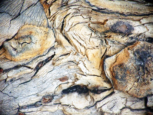 Stara drewniana tekstura