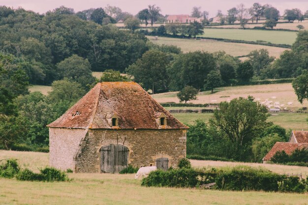 Zdjęcie stara kamienna stodoła na polu w brionnais w burgundii