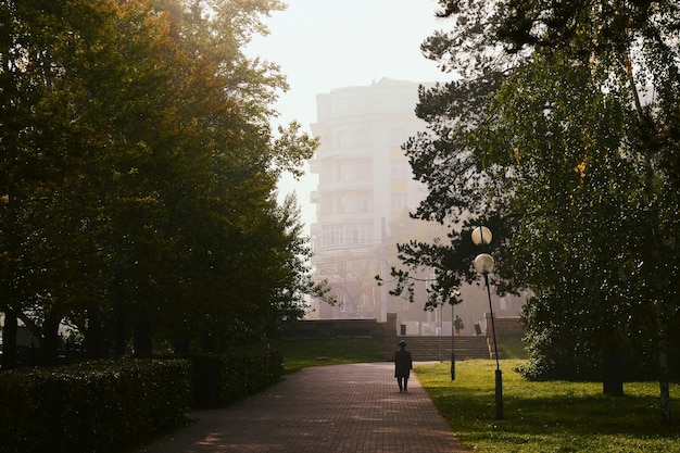 Stara kobieta idzie kamienną ścieżką w parku rano wśród drzew i mgły