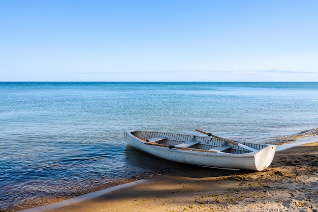 Stara łódź wiosłowa na plaży w cieniu drzew Spokojny ocean na horyzoncie