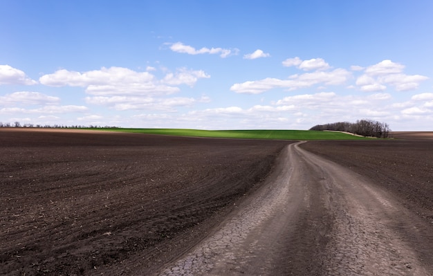 Stara polna droga w pobliżu pola