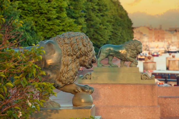 Stara rzeźba lwów na Sankt Petersburgu