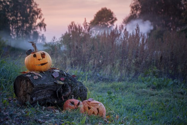 Stara Zepsuta Halloweenowa Bania Plenerowa