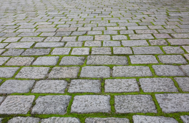 Stare brukowane kamienie z trawą z perspektywy. Strzał zbliżeniowy