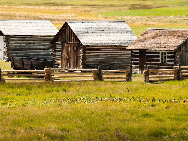 Stare budynki domostwa na Florissant National Monument w środkowym Kolorado.