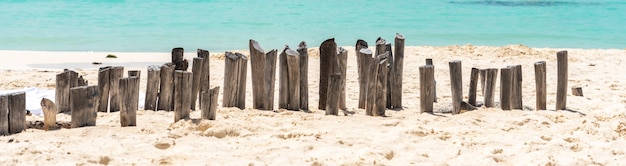 Stare drewniane belki z dawnego molo na pięknej karaibskiej plaży w meksyku