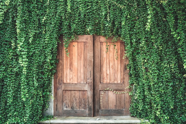Stare drewniane drzwi w stylu retro pokryte liśćmi bluszczu