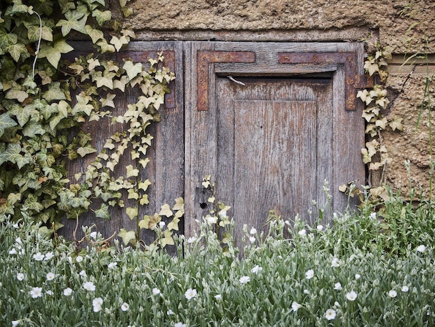 Zdjęcie stare drewniane drzwi z kwiatami