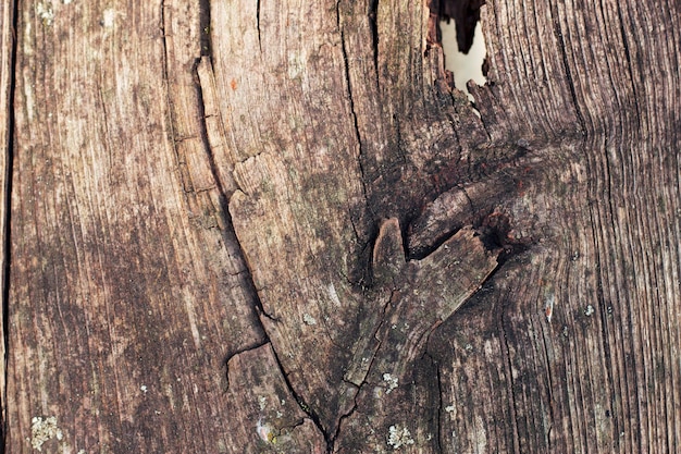 Stare drewno tło z pęknięciami i dziurą