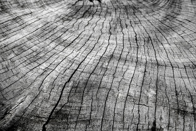 Stare Drewno W Tle