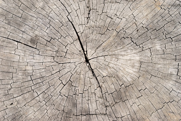 Stare jasne drewno tekstury tła powierzchni z naturalnym wzorem