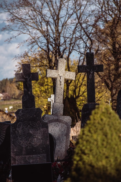 Zdjęcie stare kamienne krzyże na grobach na starożytnym cmentarzu w litwie