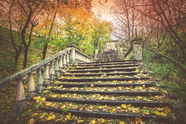 Stare schody pokryte opadłymi liśćmi w parku jesienią
