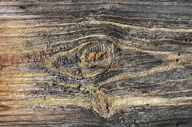 Zdjęcie stare tekstury drewna