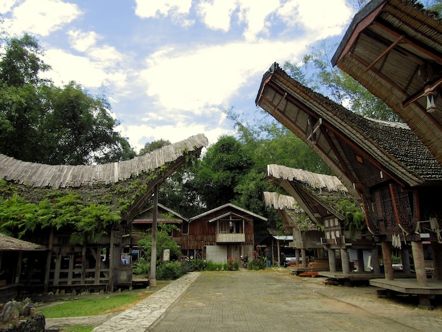 Zdjęcie stare tradycyjne domy toraja