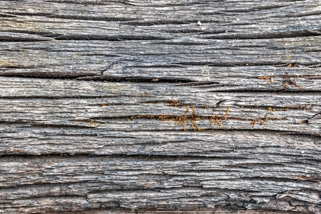 Zdjęcie stare wyblakłe drewno tekstury tło dla makiety lub wzoru w budownictwie, żywności lub przemysłowej płaskiej warstwie koncepcji próbki.