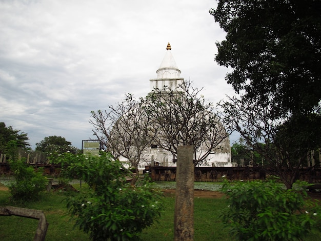 Starożytna stupa w pobliżu Parku Narodowego Yala na Sri Lance