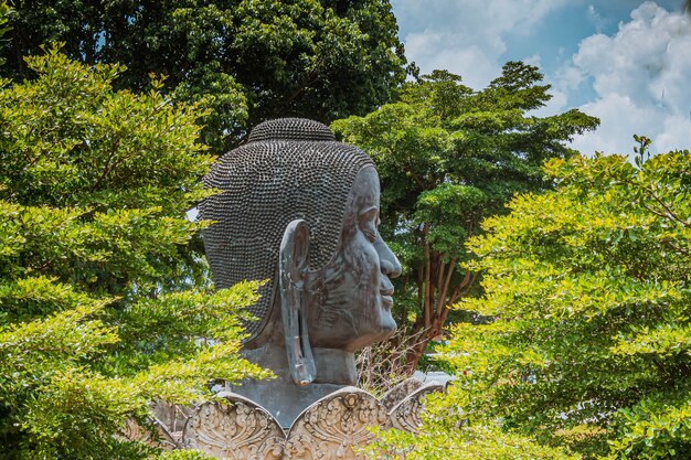 Starożytna świątynia Buddyjska Posąg Buddy. Posąg Głowy Buddy Wśród Lasu W Wat Thammikarat Ayutthaya Tajlandia