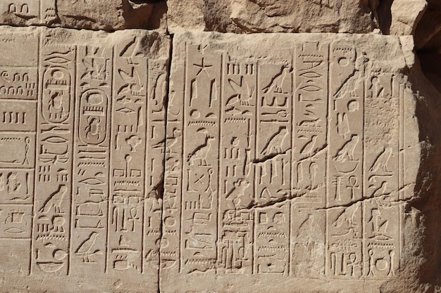 Zdjęcie starożytne egipskie hieroglify wyryte w świątyni karnak w luksorze, egipt