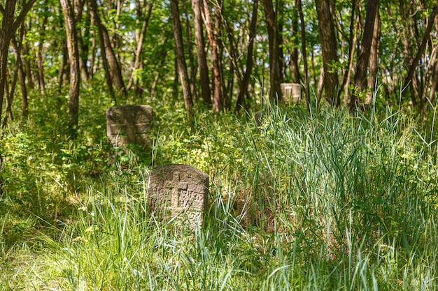 Starożytne kamienne krzyże cmentarza kozackiego w Trachtemirowie