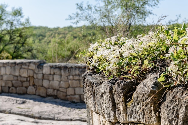 Starożytne Kamienne Miasto W Górach Historyczne Ruiny