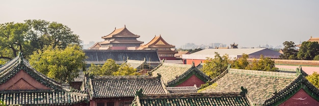 Starożytne pałace królewskie Zakazanego Miasta w długim formacie baneru w Pekinie