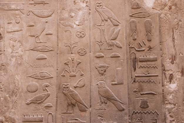 Starożytne pismo egipskie Egipskie hieroglify inskrypcje ścienne