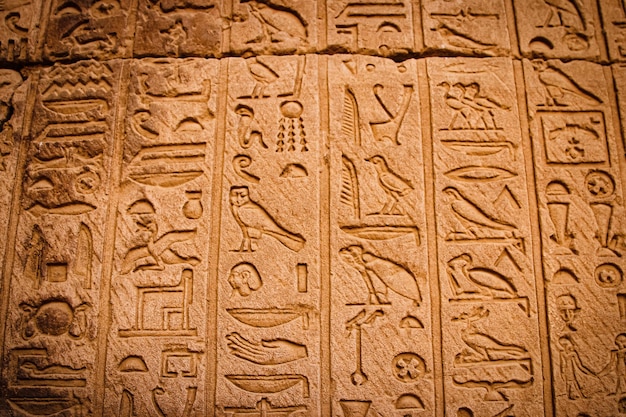 Starożytne pismo egipskie, egipskie hieroglify, napisy na ścianach