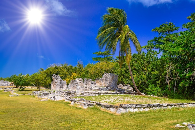 Starożytne ruiny Majów w strefie archeologicznej El Rey w pobliżu Cancun Yukatan w Meksyku