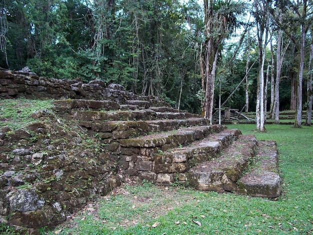 Starożytne ruiny Maya Bonampak Meksyk