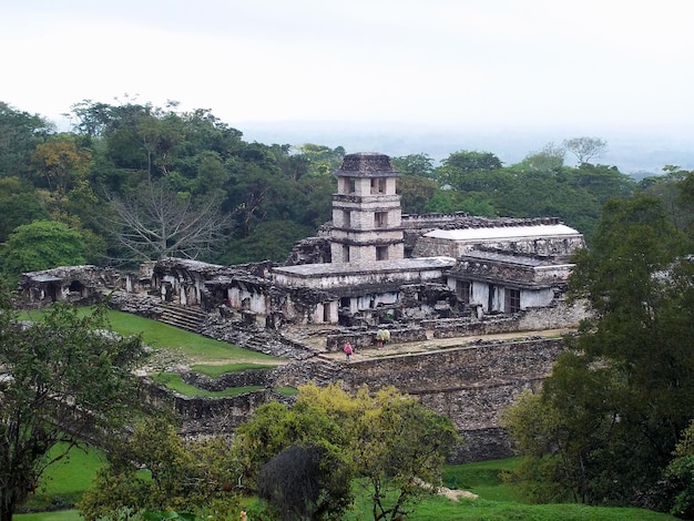 Starożytne ruiny Maya Palenque Meksyk