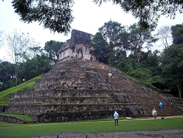 Starożytne ruiny Maya Palenque Meksyk