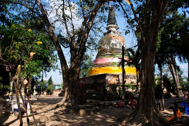 Starożytne ruiny stupa i starożytne stare ruiny pagody chedi dla thajskich ludzi podróżni odwiedzają szacunek modląc się błogosławieństwo buddy życzenie mistyczne w Wat Mae Nang Pleum lub Maenangpluem świątynia w Ayutthaya Tajlandia