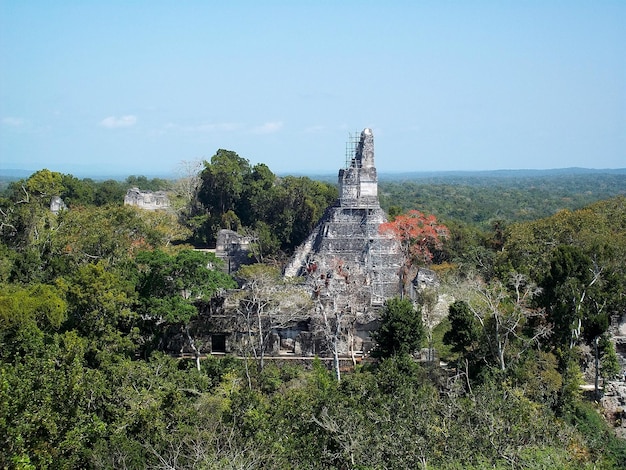 Starożytne Ruiny W Tikal W Gwatemali