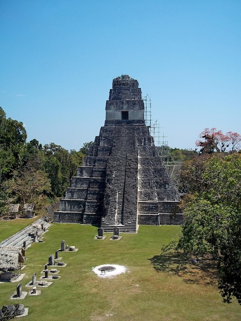 Starożytne ruiny w Tikal w Gwatemali