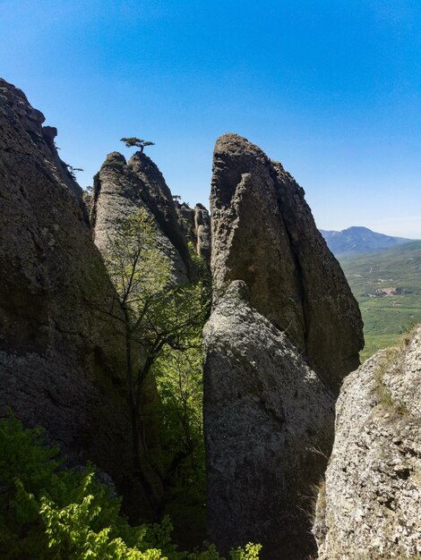 Starożytne wapienne wysokie góry o zaokrąglonym kształcie w mgle powietrza Dolina Duchów Demerji Crimea