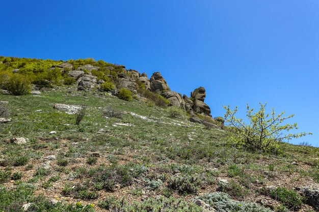 Starożytne wapienne wysokie góry o zaokrąglonym kształcie w mgle powietrza Dolina Duchów Demerji Crimea