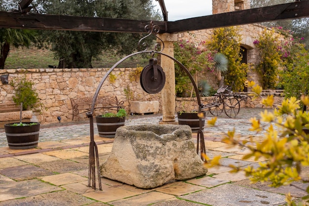 Starożytny kamień dobrze zlokalizowany w winnicy francisco gomez viella hiszpania