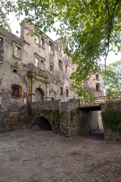 Starożytny opuszczony zamek w lesie