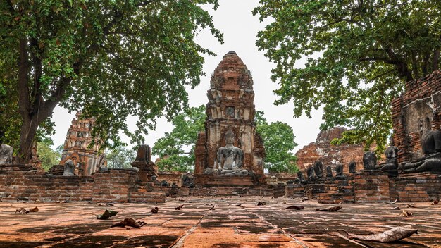 Starożytny posąg Buddy i stanowisko archeologiczne w parku historycznym Wat Mahathat Ayutthaya, prowincja Ayutthaya, Tajlandia. Światowe dziedzictwo UNESCO