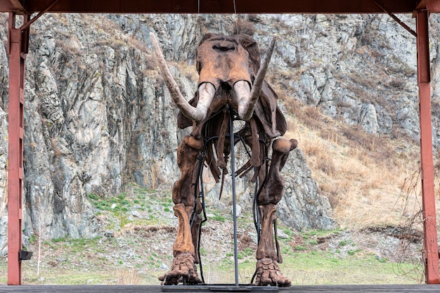 Zdjęcie starożytny szkielet prehistorycznego zwierzęcia stoi na tle przyrody i gór