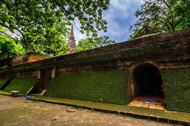 Starożytny tunel w Wat Umong Suan Puthanatham to buddyjska świątynia, która jest główną atrakcją turystyczną z zielonym lasem w Chiang Mai, Tajlandia