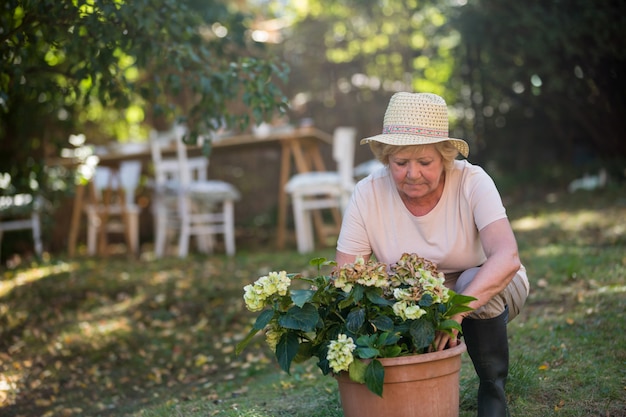 Starsza kobieta niesie garnek rośliny w ogródzie