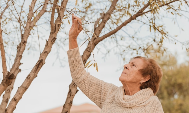 Starsza Kobieta Patrzeje Gałąź Migdałowy Drzewo
