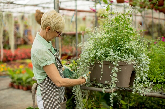 Starsza kobieta pracuje w greengarden