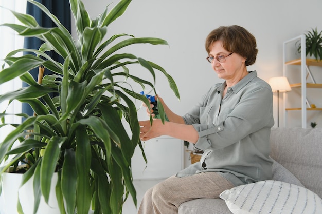 Starsza kobieta spryskuje rośliny w doniczkach Szczęśliwa kobieta opiekująca się rośliną domową Dojrzała kobieta dbająca o rośliny w swoim domu spryskuje roślinę czystą wodą ze spryskiwacza