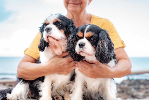 Starsza kobieta w kolorze żółtym siedzi blisko plaży, obejmując swoje dwa psy Cavalier King Charles