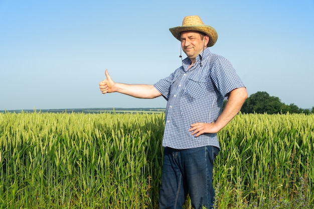 Starszy agronom w polu pszenicy z podniesionym kciukiem do góry, dając znak dobrych zbiorów.